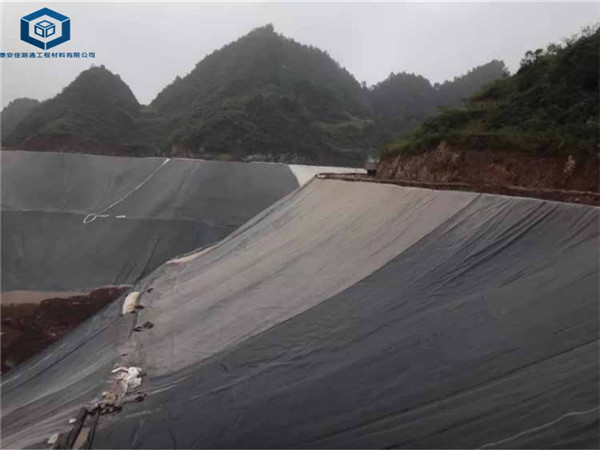 ��������������Ĥ