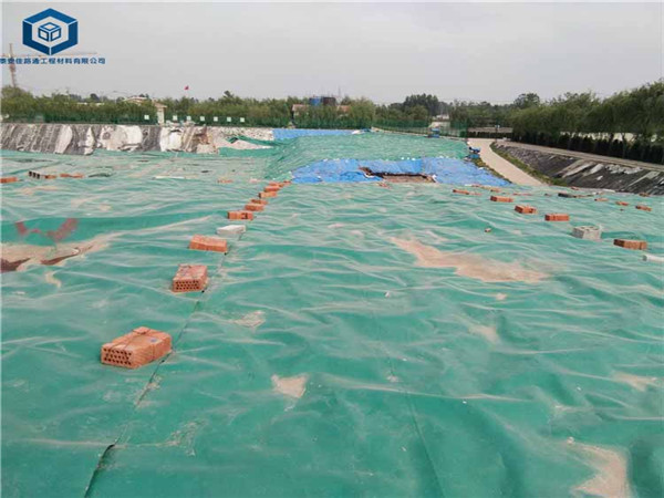 �R����������S�Gɫ����Ĥ